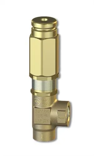 [145 60.0500.00] VS310 Safety Relief Valve