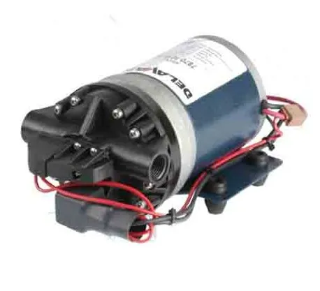 [125 90.787.101Y] Delavan Pump – 12 V (C6)